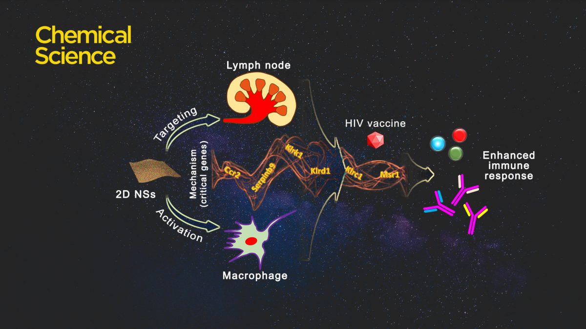 Developing two-dimensional nano-adjuvant for improving immunogenicity of HIV vaccine