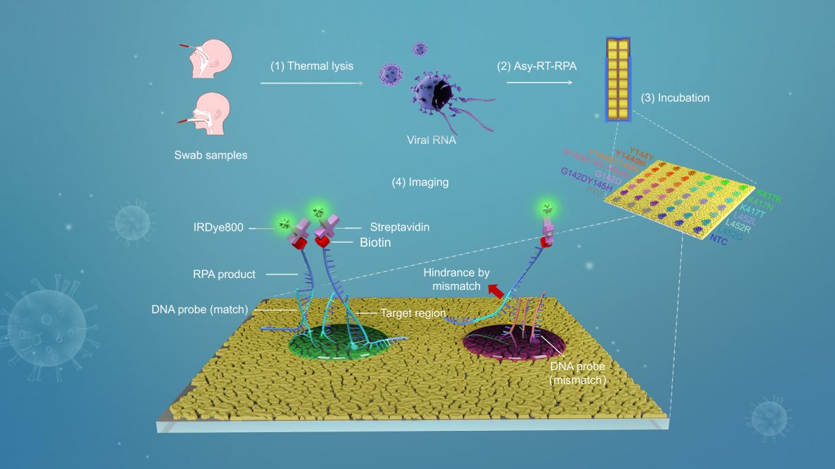 Researchers develop portable SARS-CoV-2 variant monitoring technology